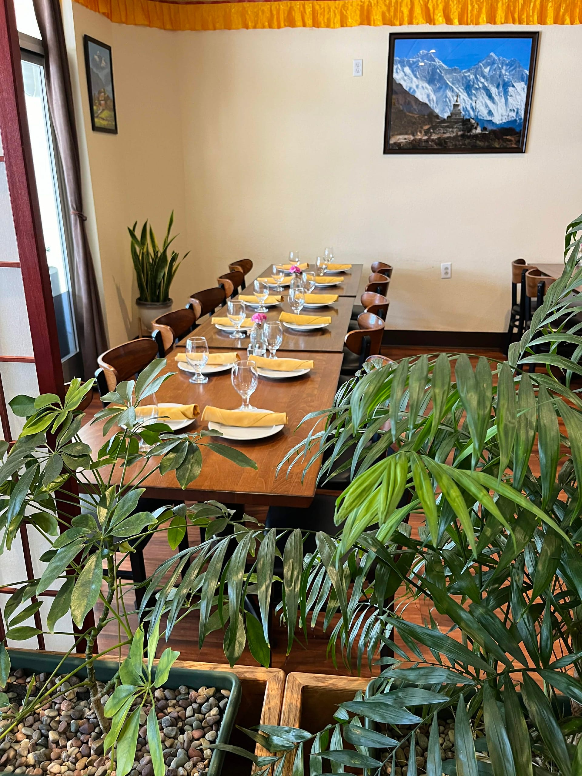 Dining Ambiance